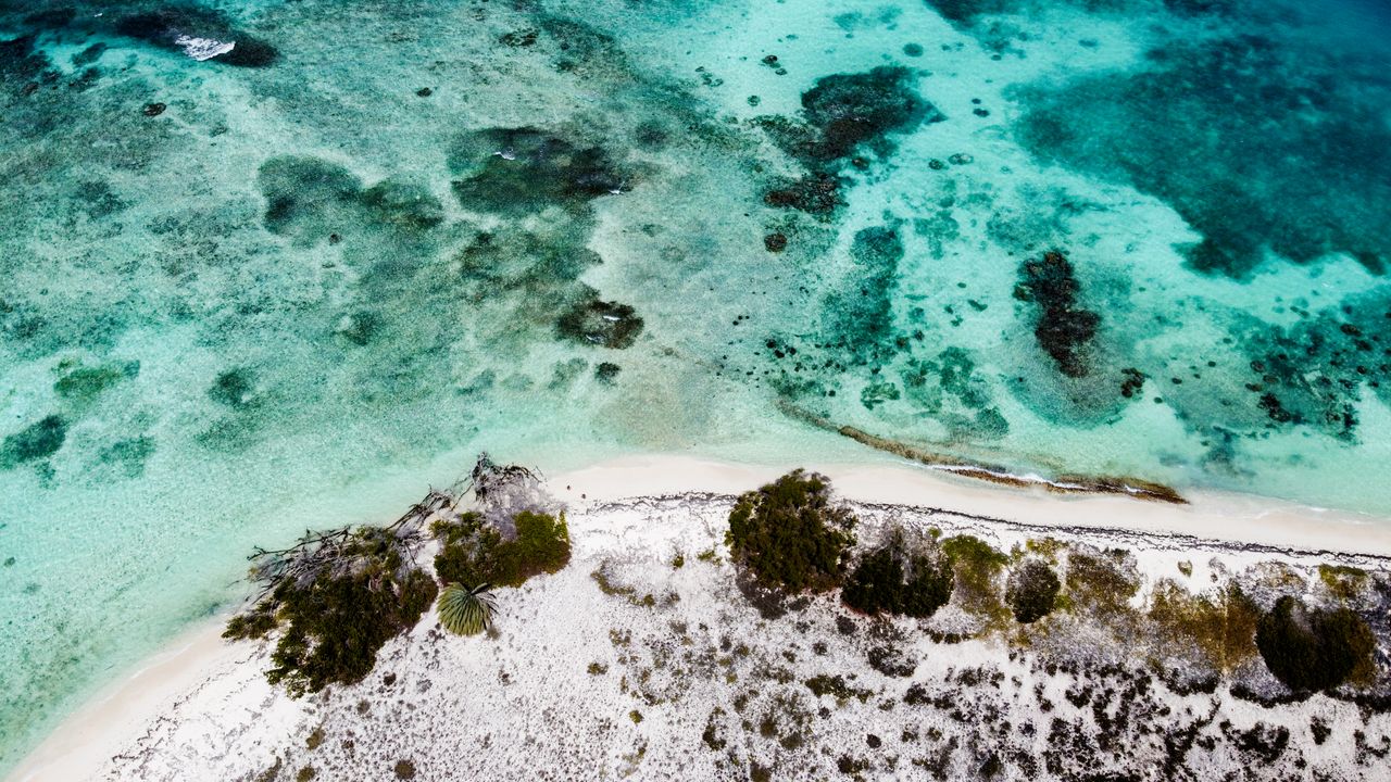 Demand for Turks and Caicos Islands through the year