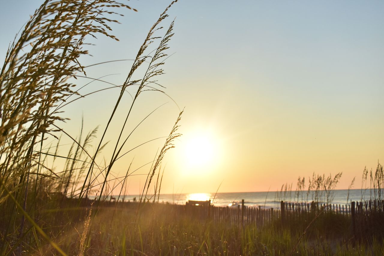 From Toronto to Myrtle Beach