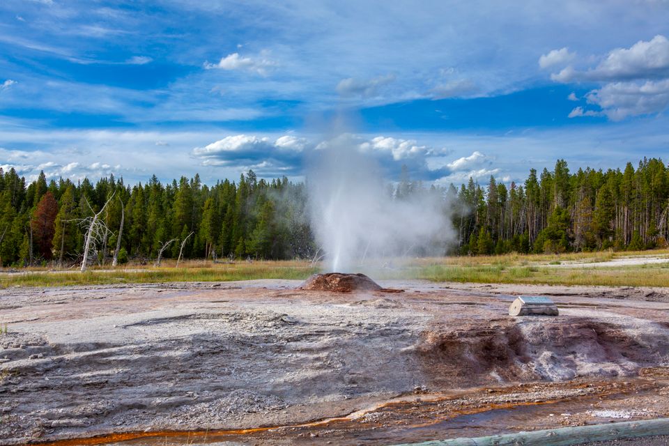 in Yellowstone National Park