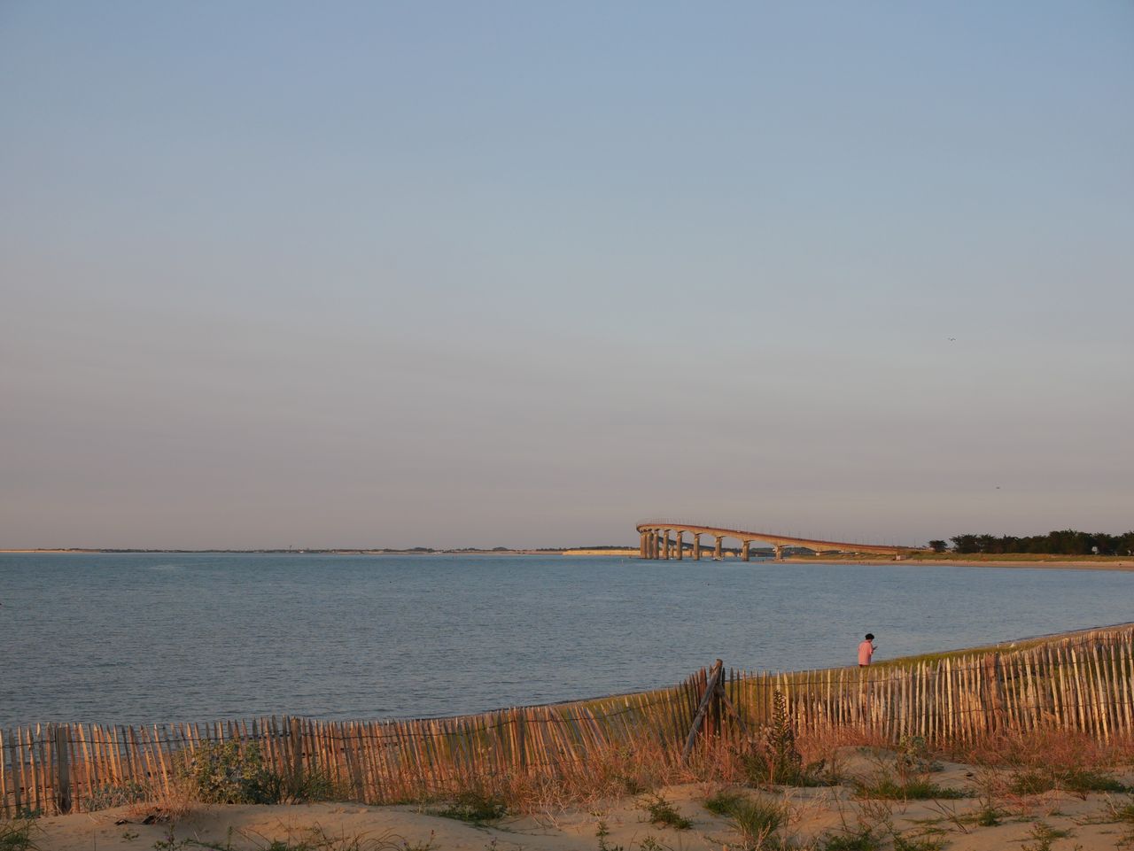 Live prices for Long Island