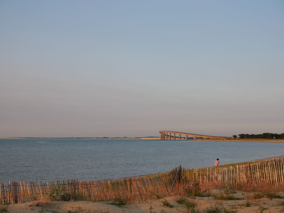 What to do in Long Island afte