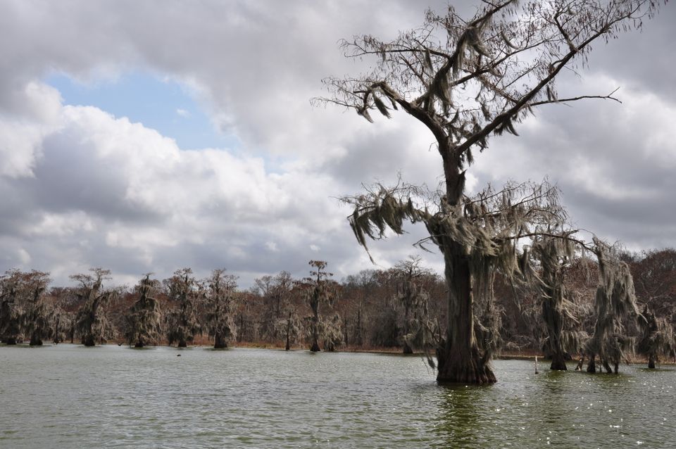 Prices for Louisiana