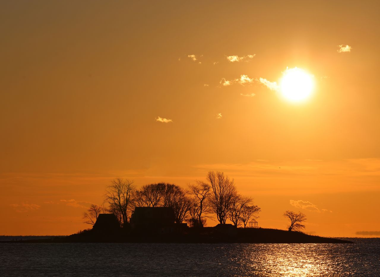 A day in Long Island in June