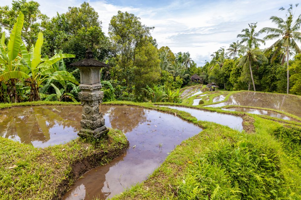 A day in Bali in January