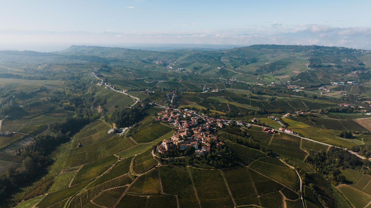 A day in Piedmont in June