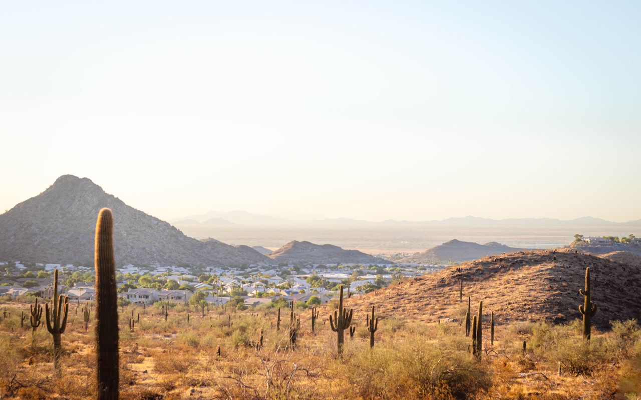 From Winnipeg to Phoenix