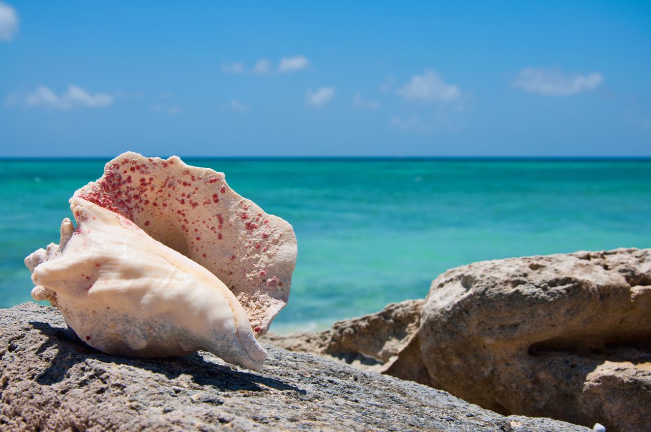 Busy and quiet months in Turks and Caicos Islands