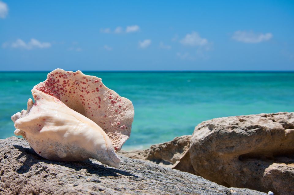 A day in Turks and Caicos Isla