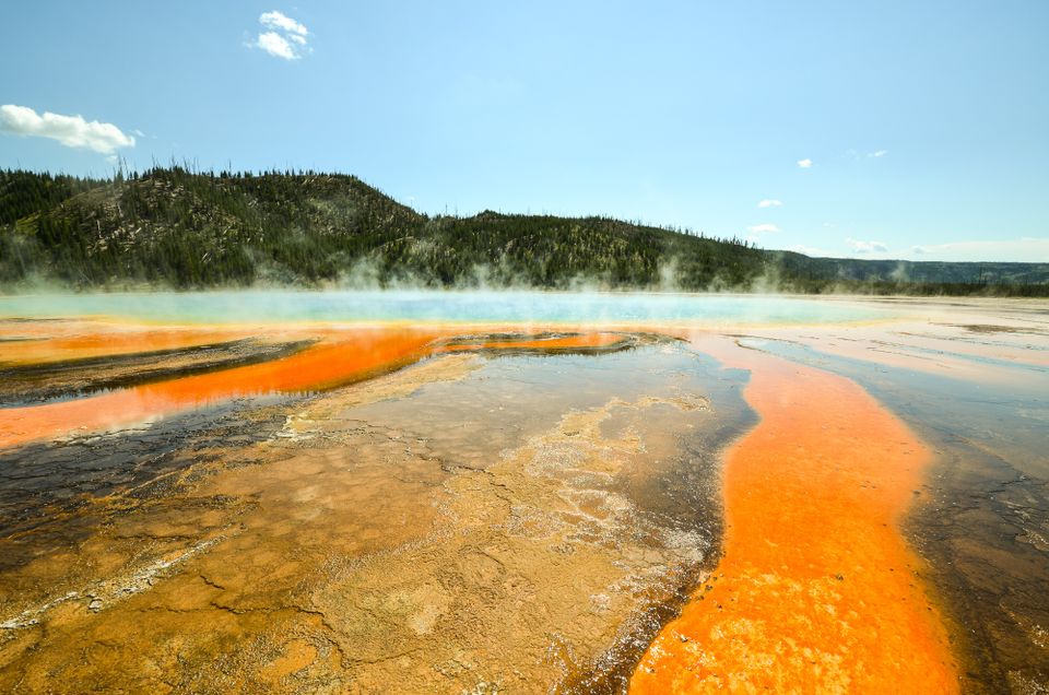 in Yellowstone National Park