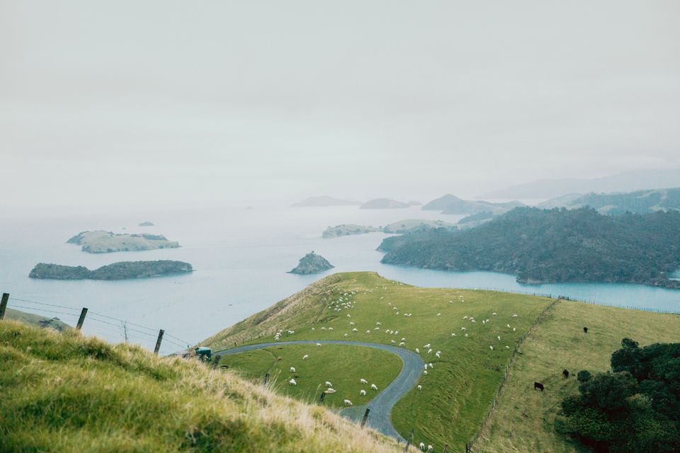 in New Zealand