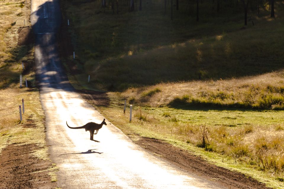 in Australia