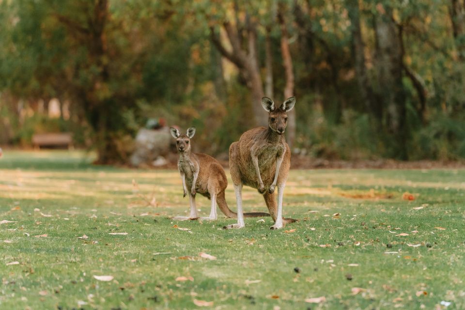 Australia