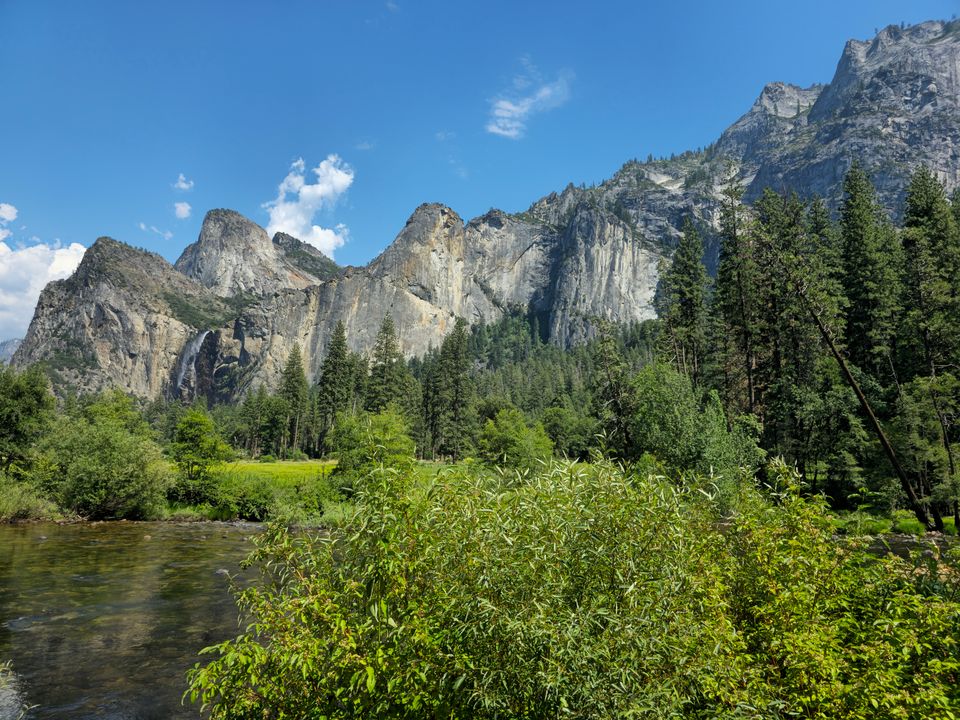 in Yosemite National Park