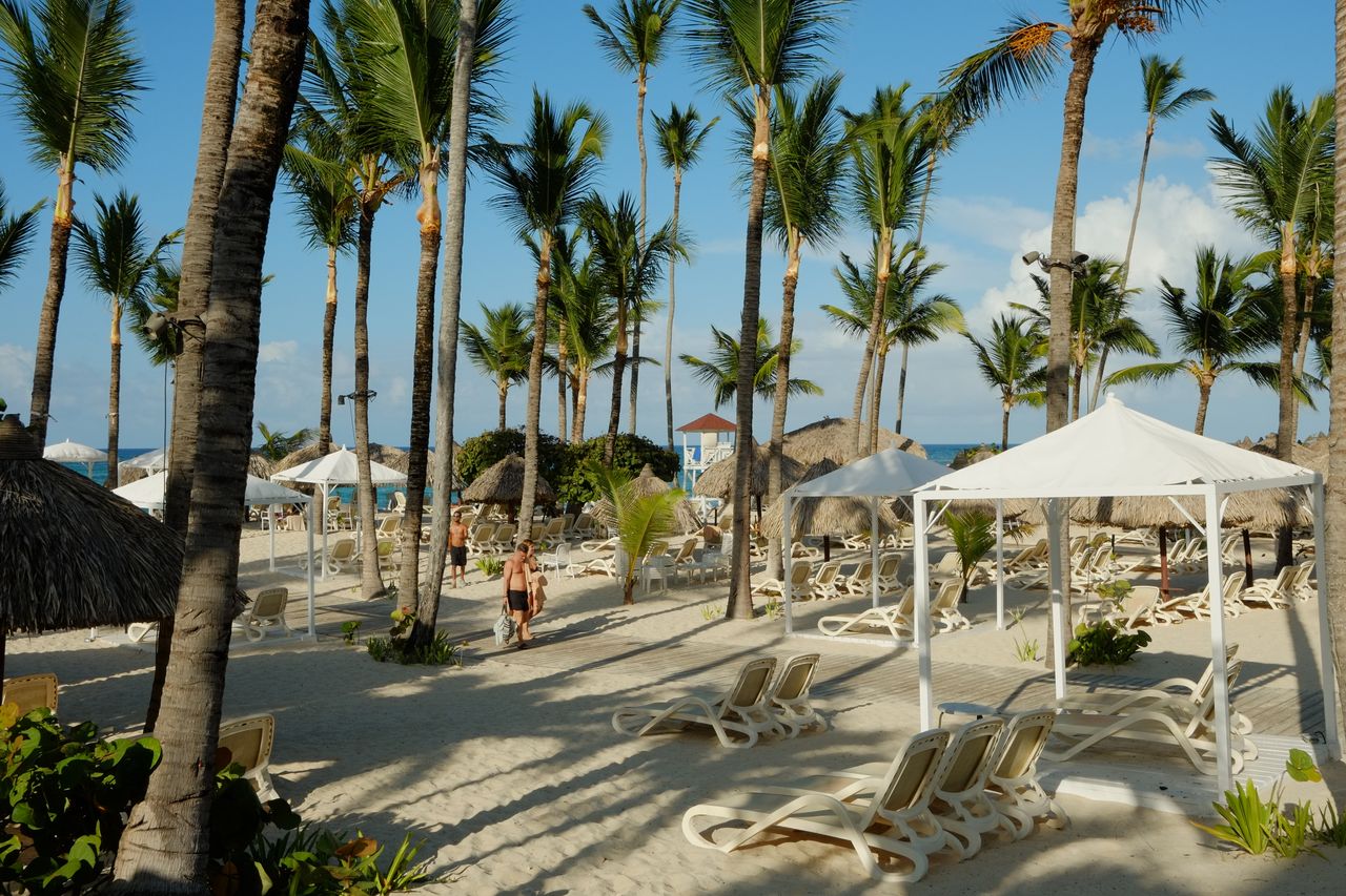 Choose a month that matches your beach priorities
