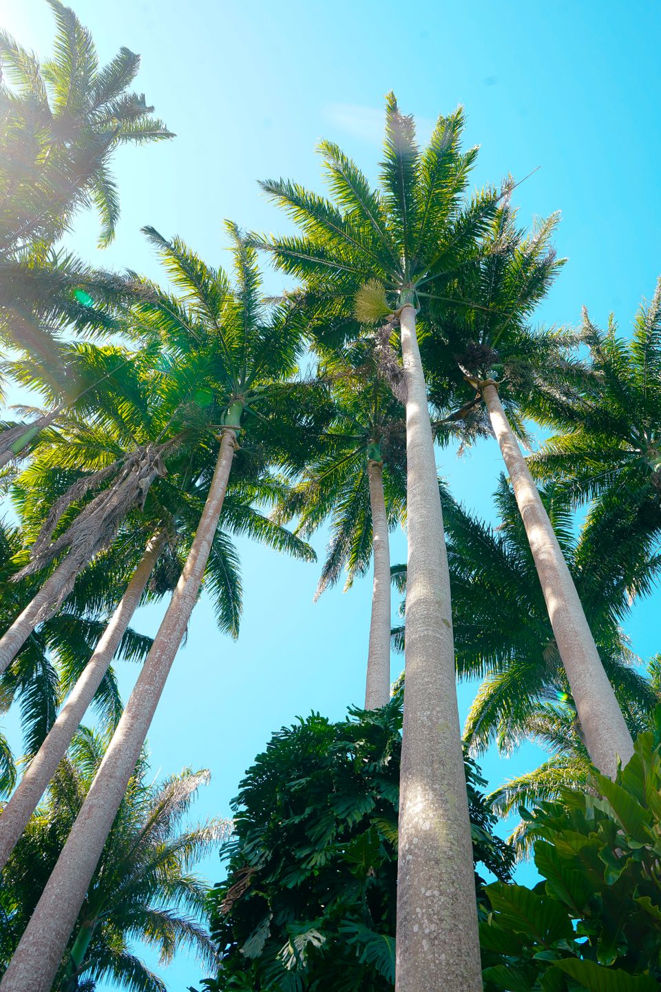 Barbados