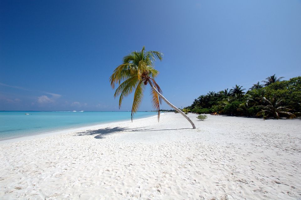 in the Maldives