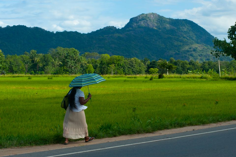 in Sri Lanka