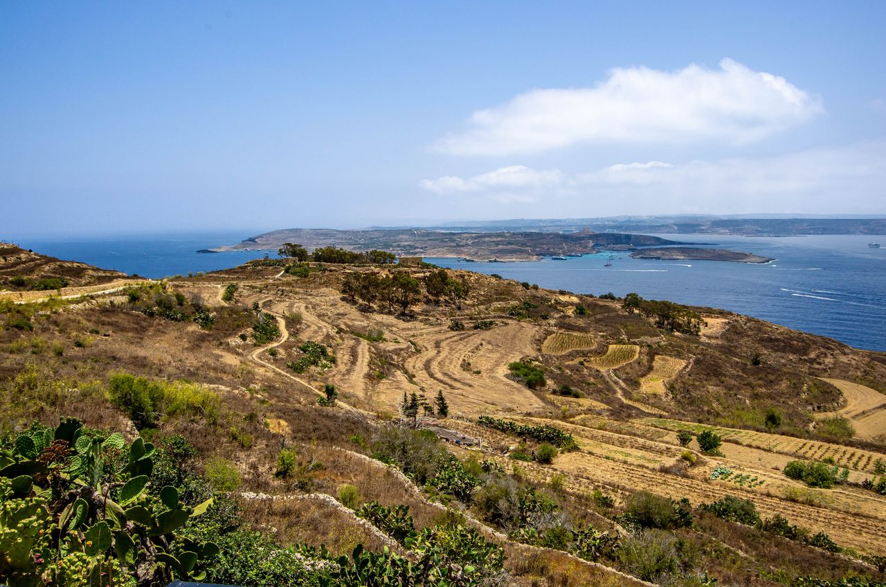 Live prices for Gozo
