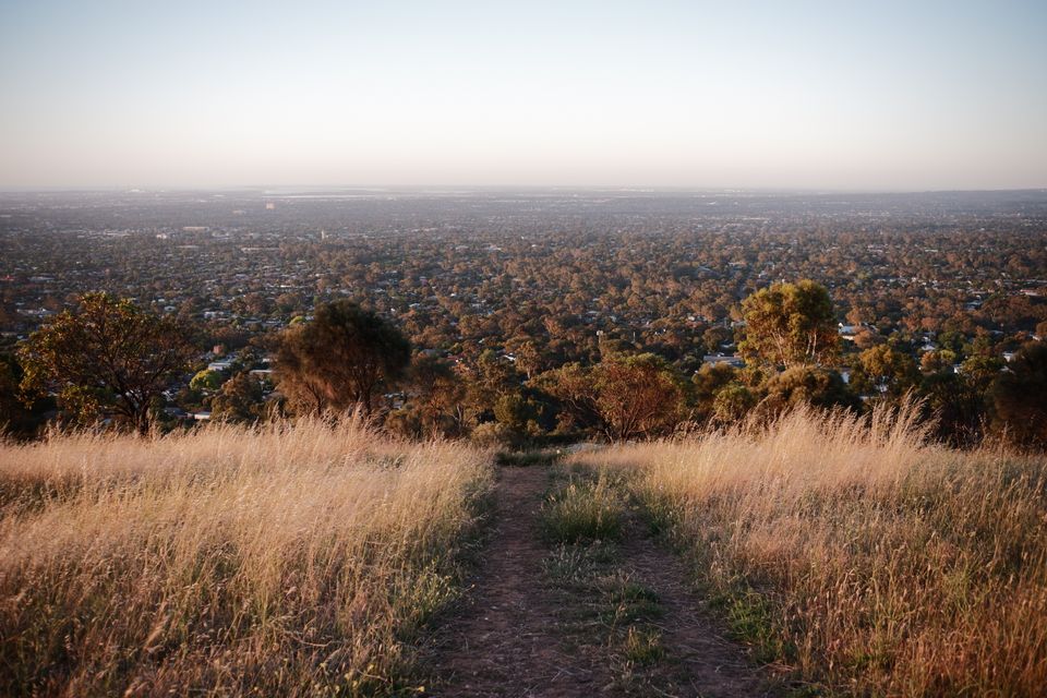 in Adelaide