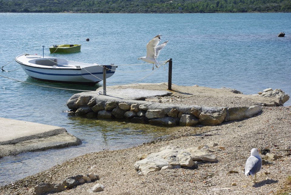 in Croatia