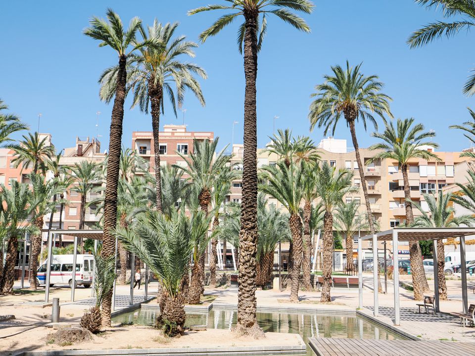 Prices for l'Alcúdia