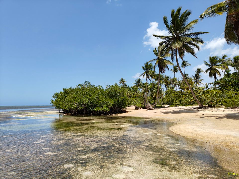 Dominican Republic