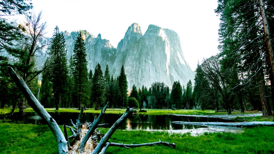 in Yosemite National Park