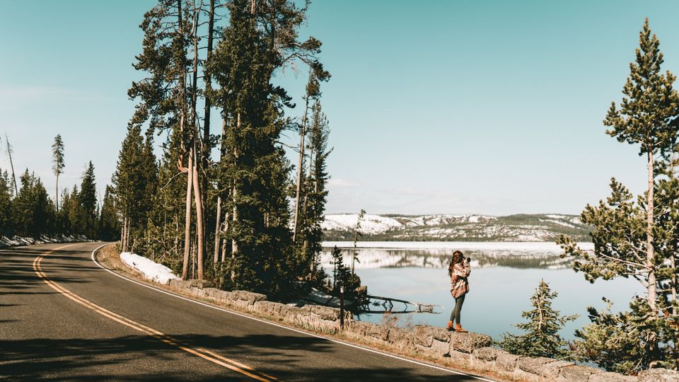 in Yellowstone National Park