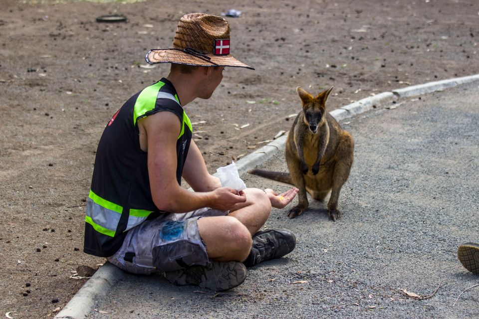 in Australia