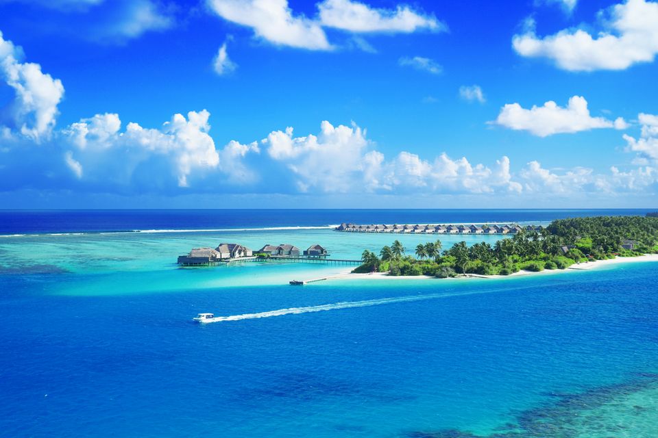 in the Maldives