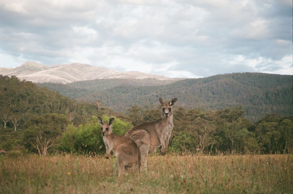 in Tasmania