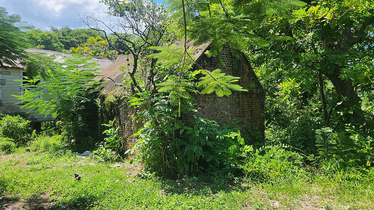 Port Maria La luz