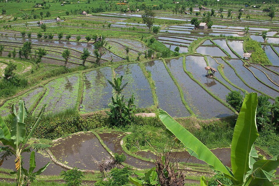 Indonesia