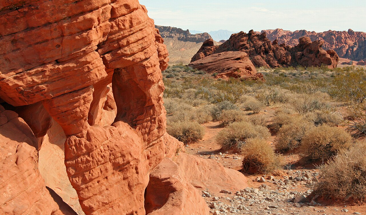 Nevada