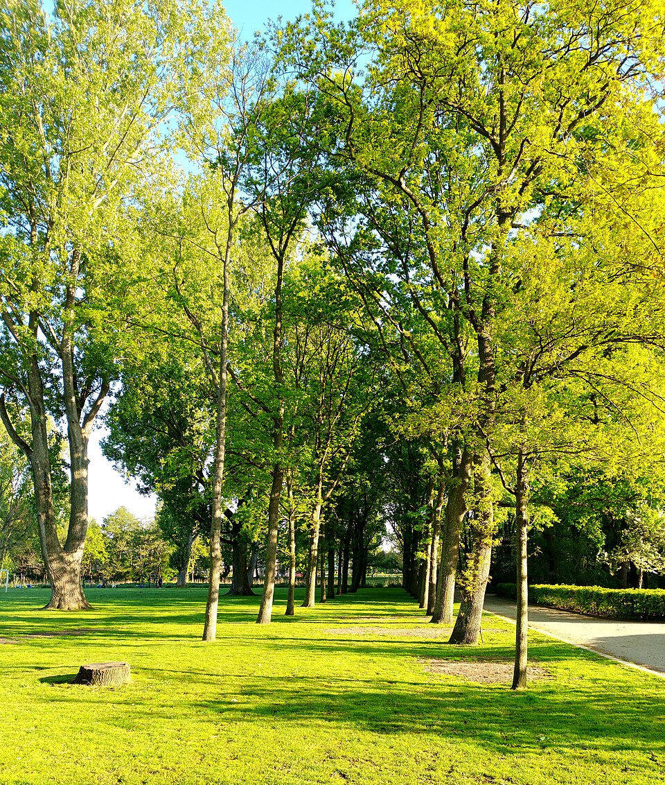 Erasmuspark