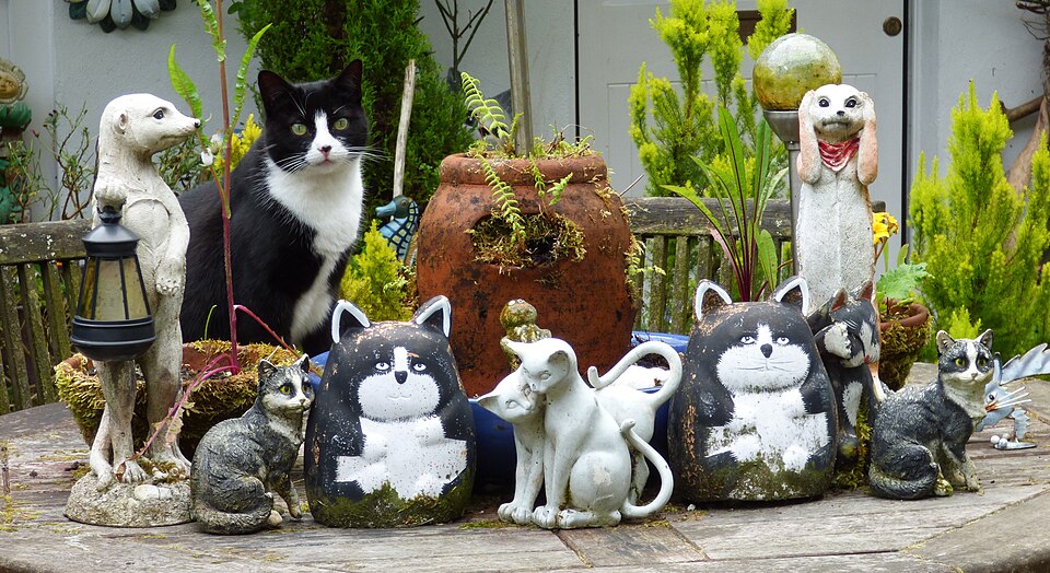 Cats