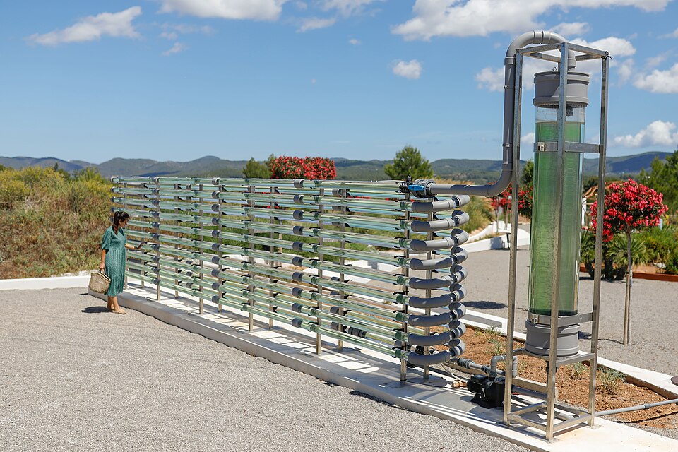 Fotobiorreactor Ibiza