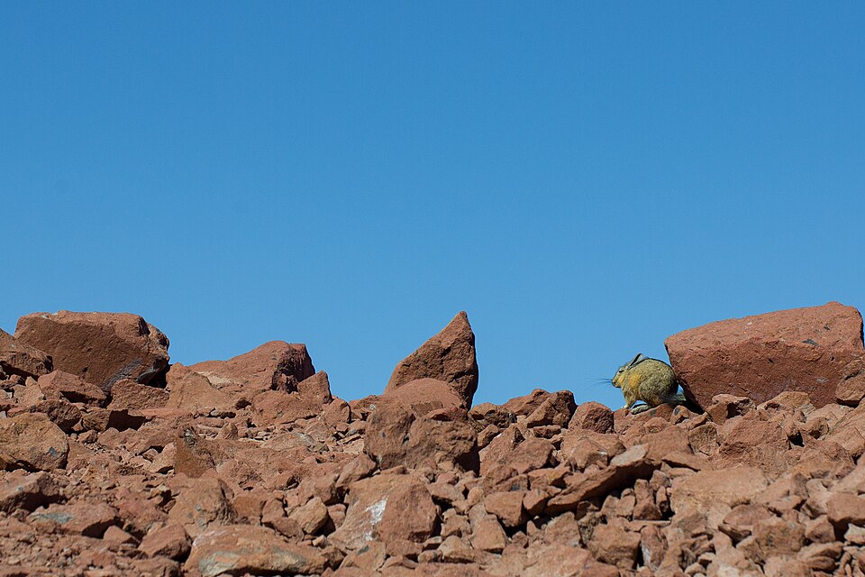 San Pedro de Atacama