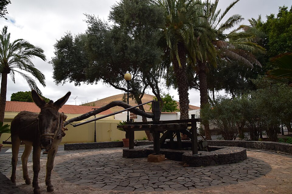 Fuertaventura