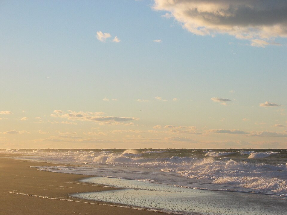 Cape Cod