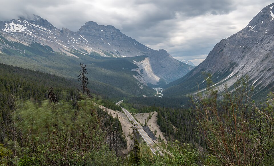 in Jasper
