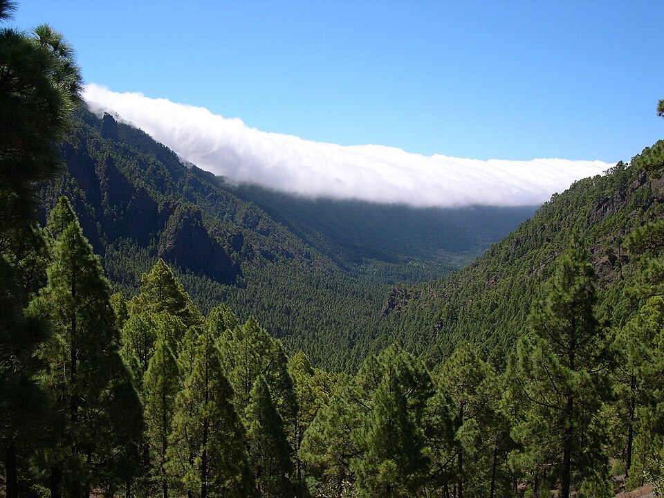 Canarias