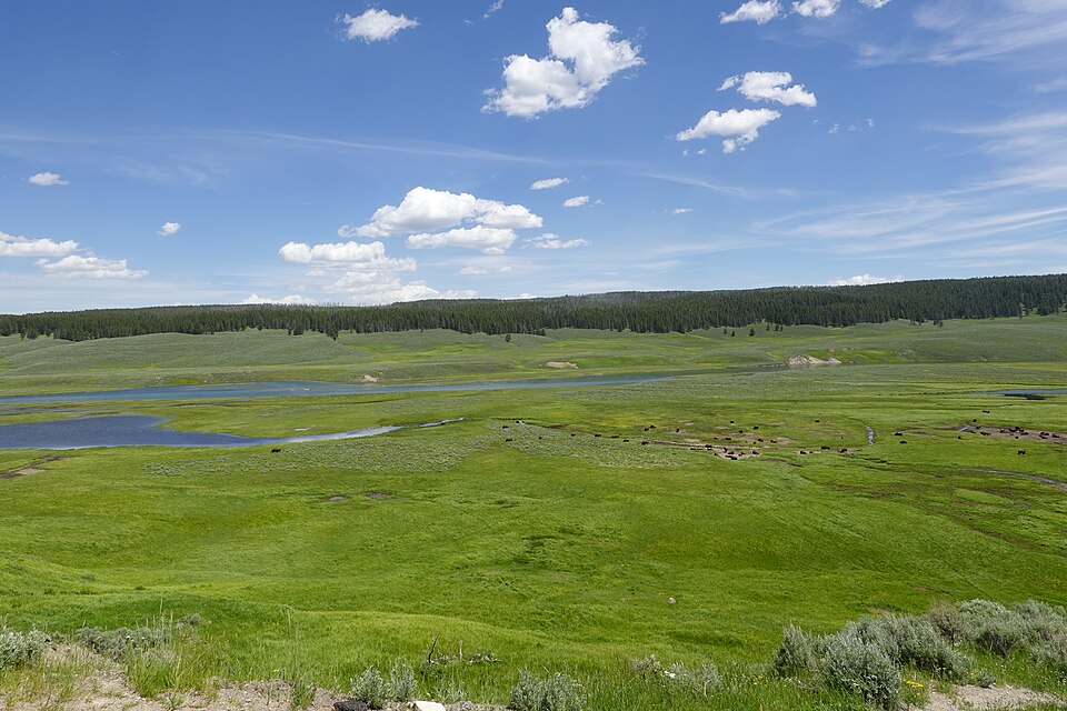 Hayden Valley