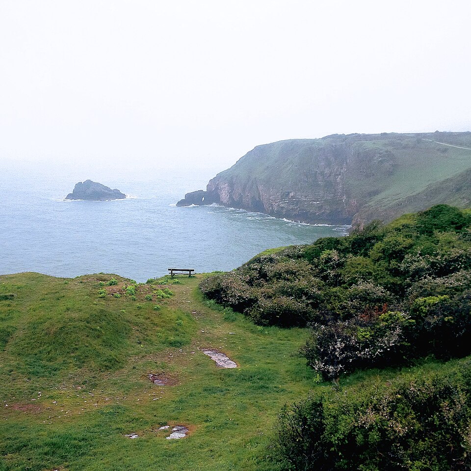 Devon Cliffs