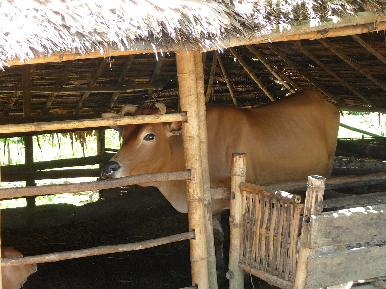 Khánh Hòa