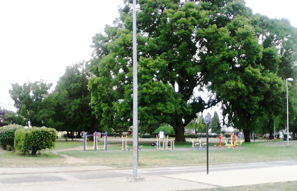 Temuco