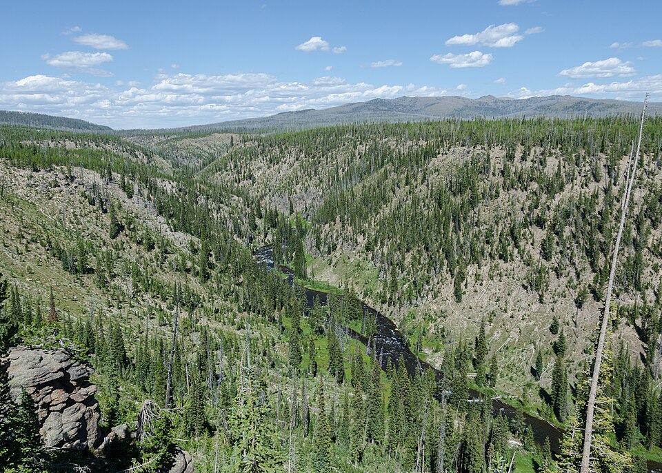 Yellowstone National Park