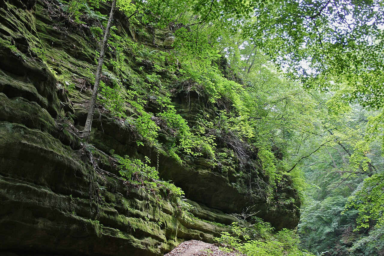 Illinois