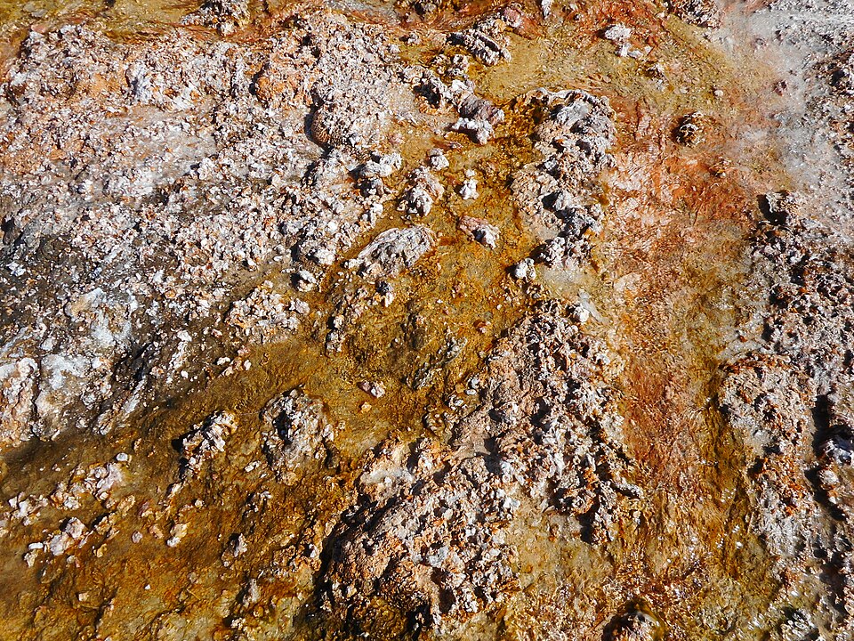 in Yellowstone National Park