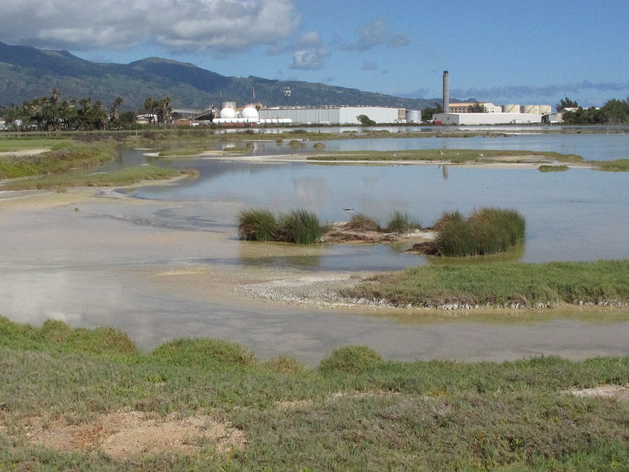 Kahului